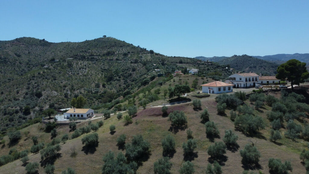 Detached Villa Comares Málaga - image 5