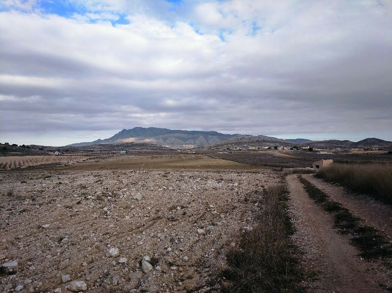 Land Torre Del Rico Murcia - image 5