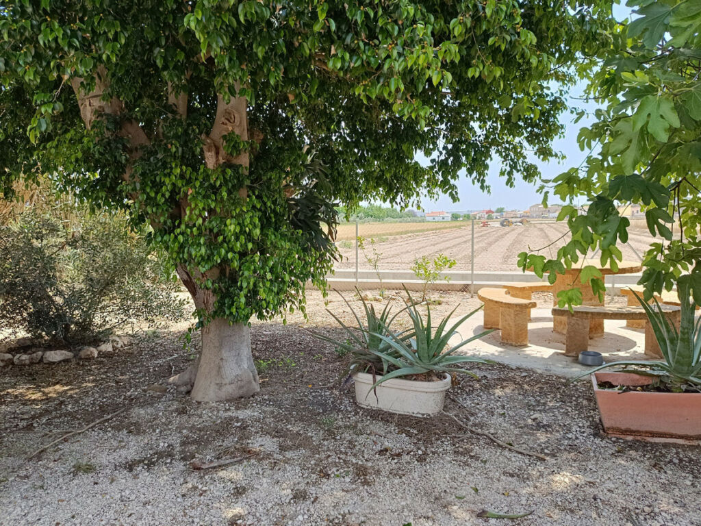 Townhouse San Fulgencio Alicante - image 50