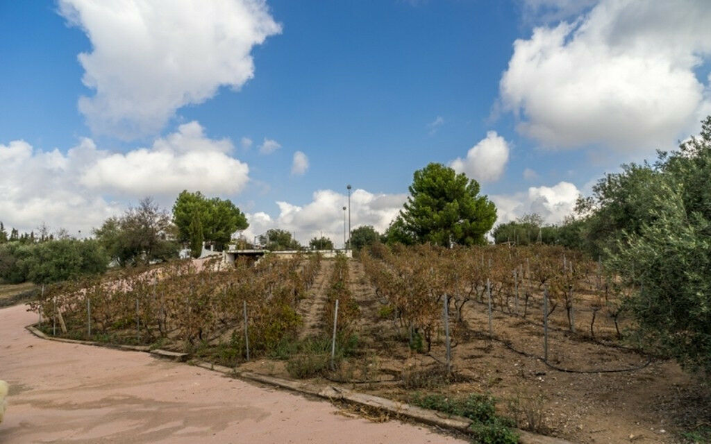 Finca - Cortijo Alora Málaga - image 51