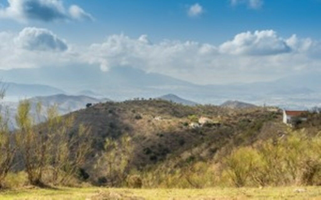 Finca - Cortijo Alora Málaga - image 53