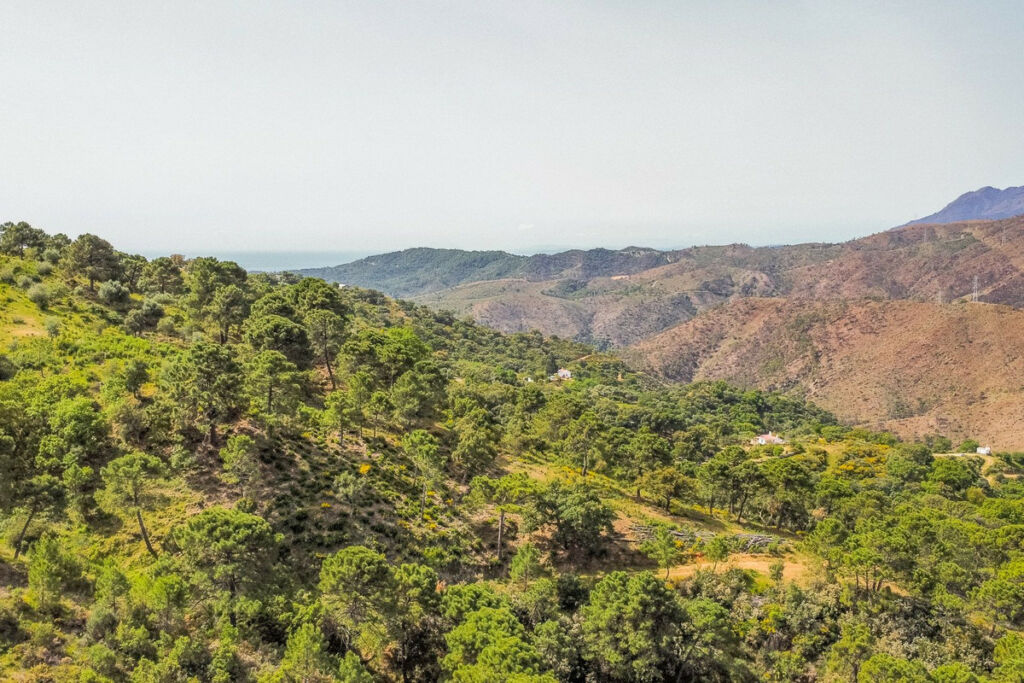 Land Benahavís Málaga - image 6