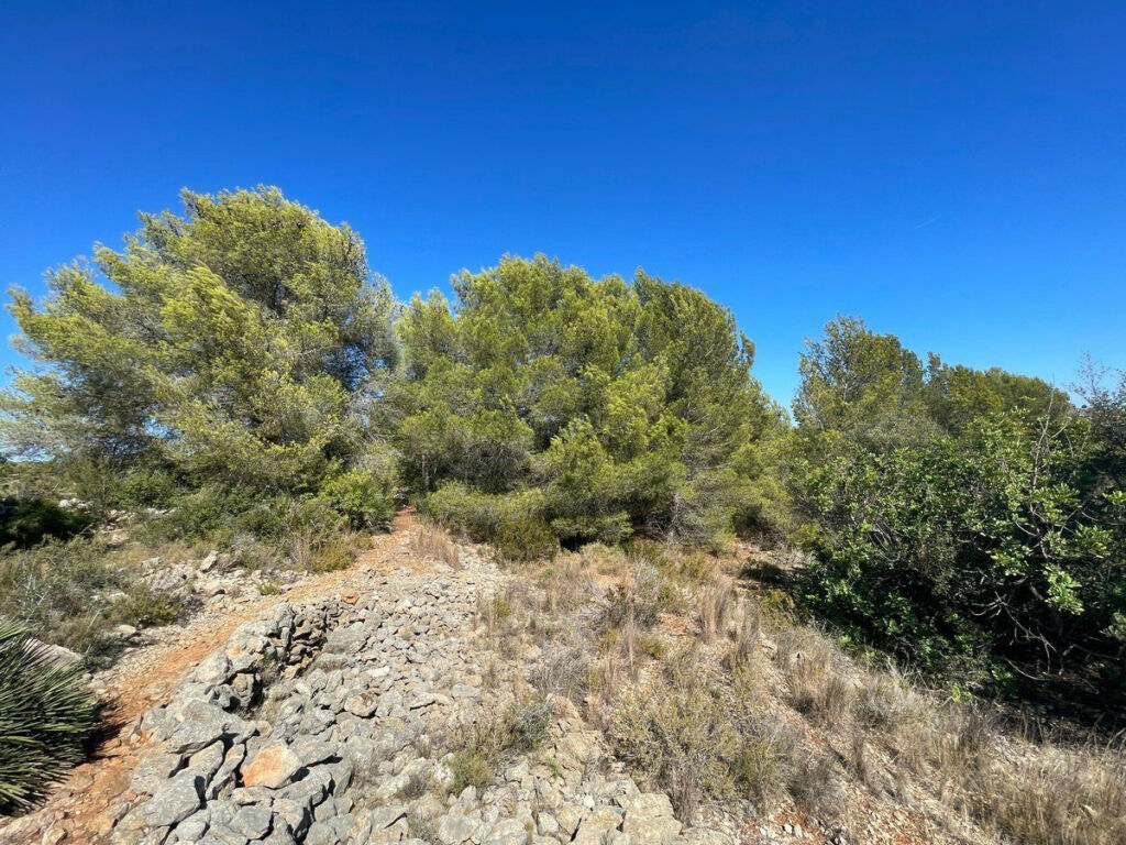 Land Benissa Alicante - image 6