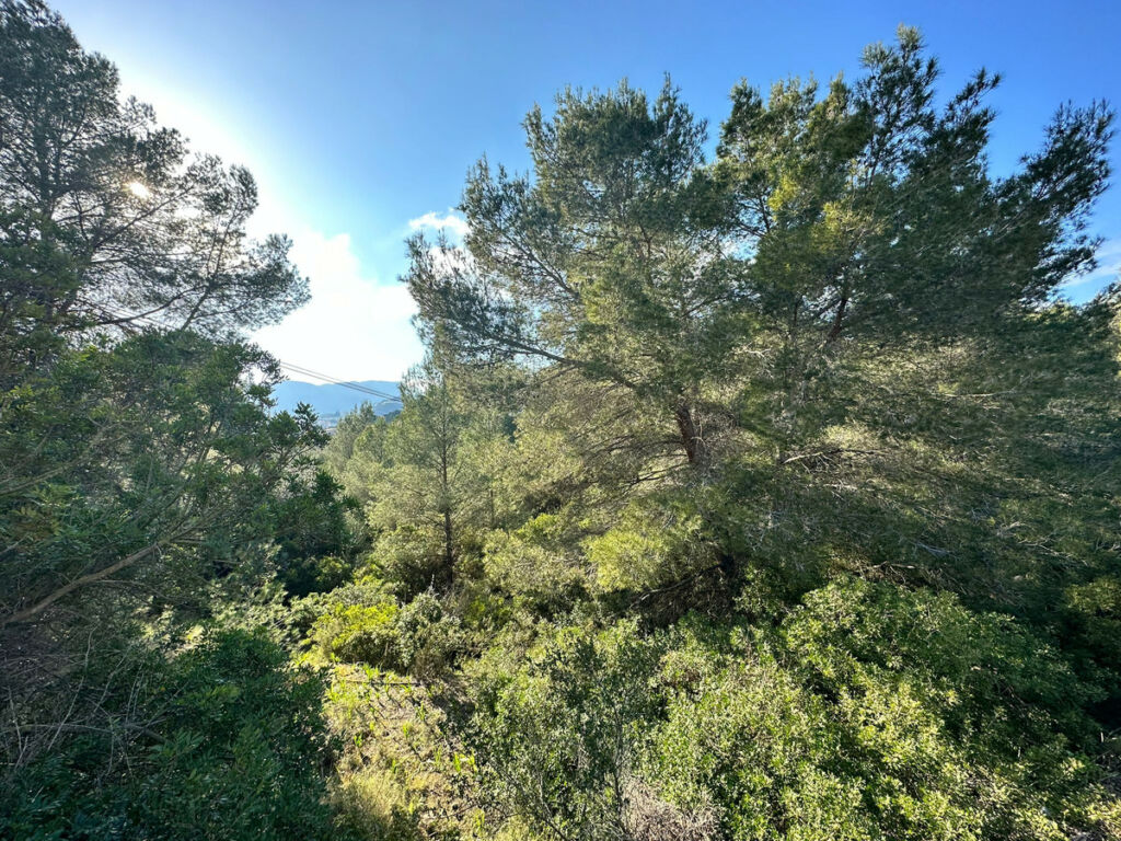 Land Calpe Alicante - image 6