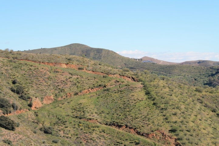 Land El Borge Málaga - image 6