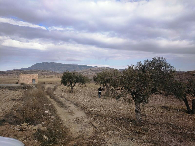 Land Torre Del Rico Murcia - image 6