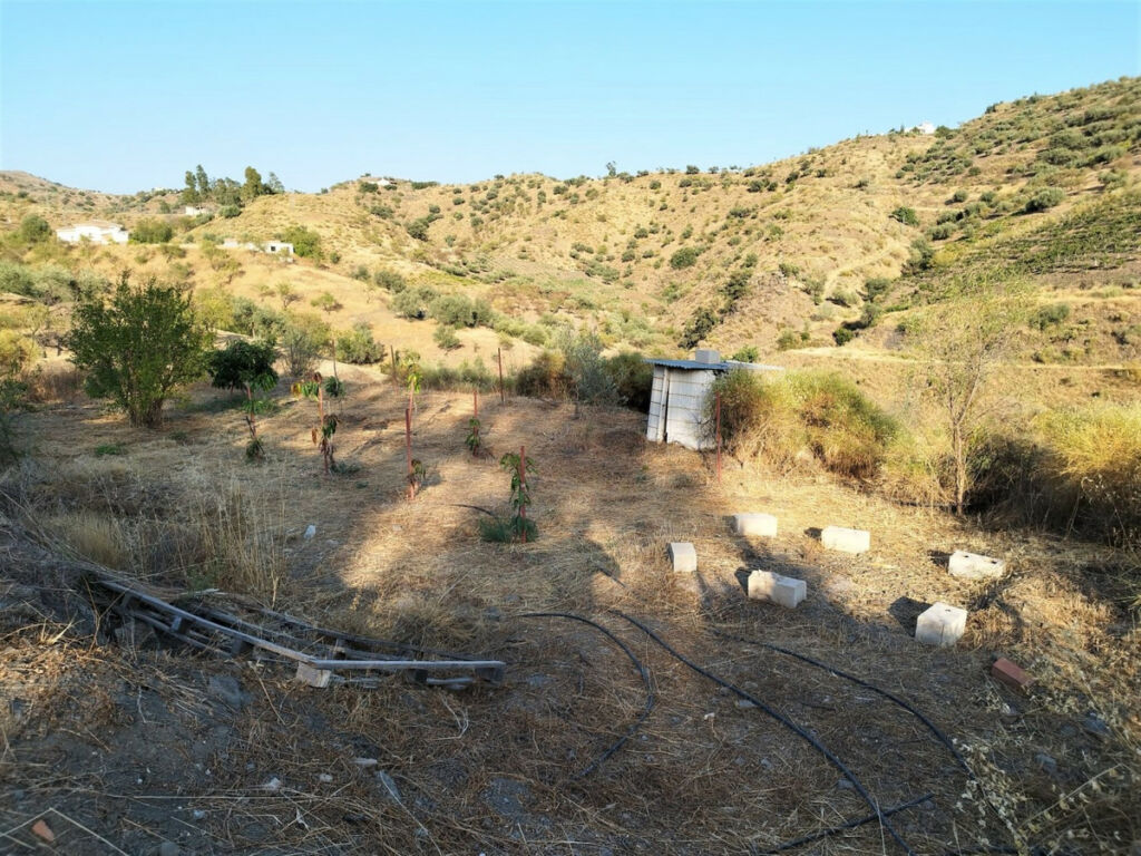 Finca - Cortijo Canillas de Aceituno Málaga - image 6