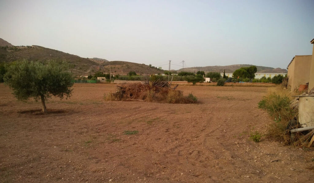 Land Aspe Alicante - image 6