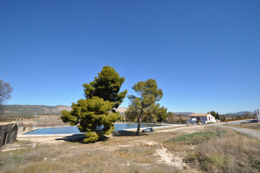 Finca - Cortijo Villena Alicante - image 6