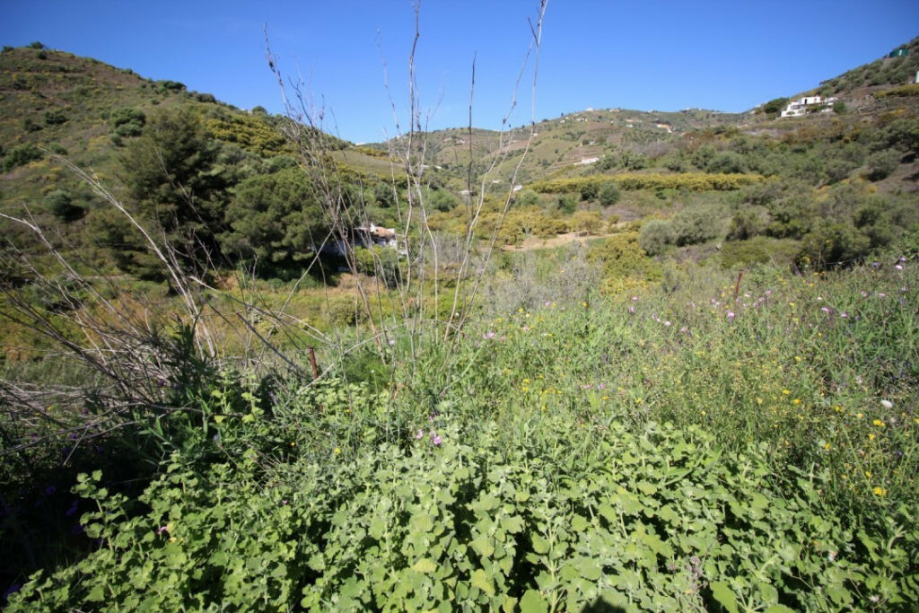 Land Torrox Málaga - image 6