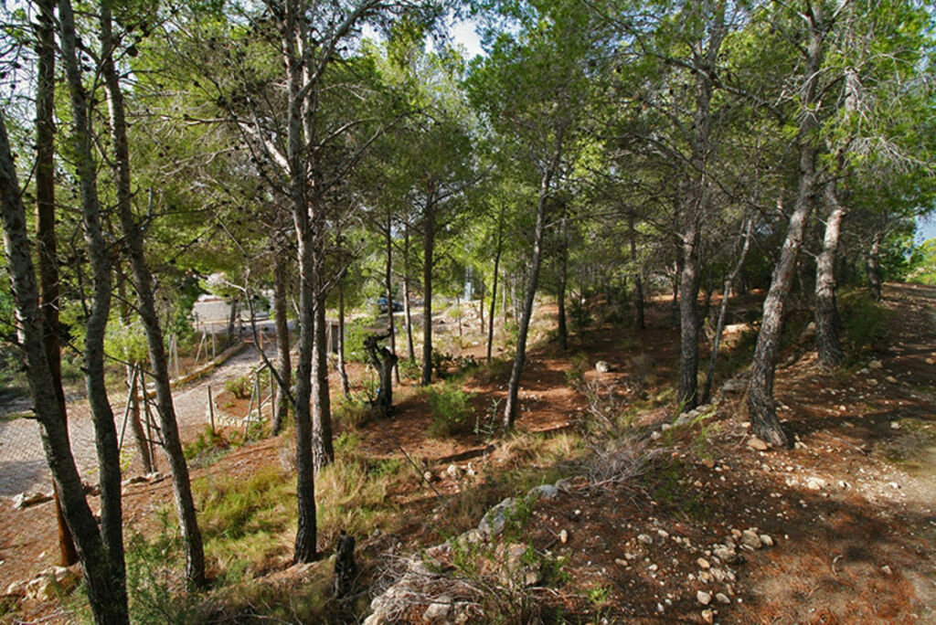 Land Altea Alicante - image 6