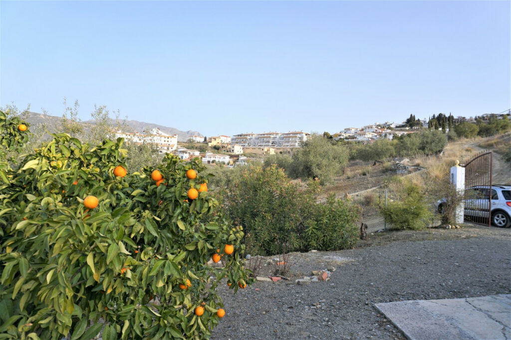 Finca - Cortijo Alcaucín Málaga - image 6