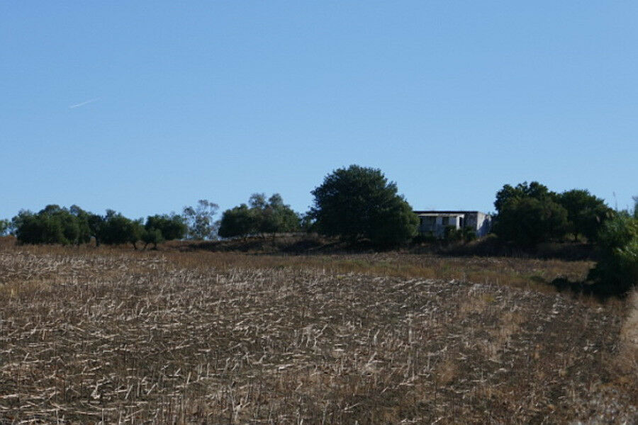 Land Arcos de la Frontera Cádiz - image 6