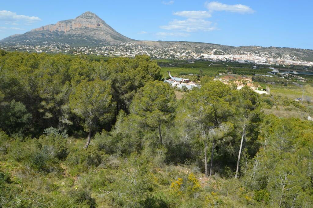 Land Javea Alicante - image 7