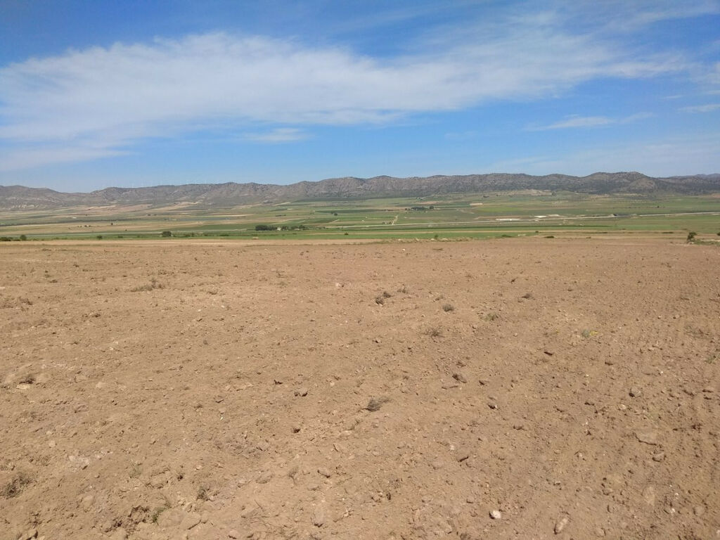 Land Yecla Murcia - image 7