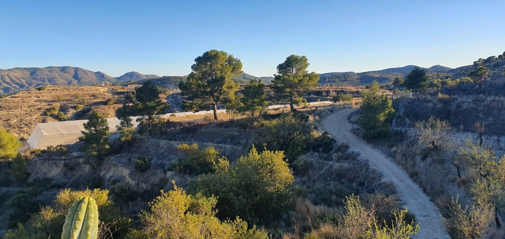 Land Relleu Alicante - image 7
