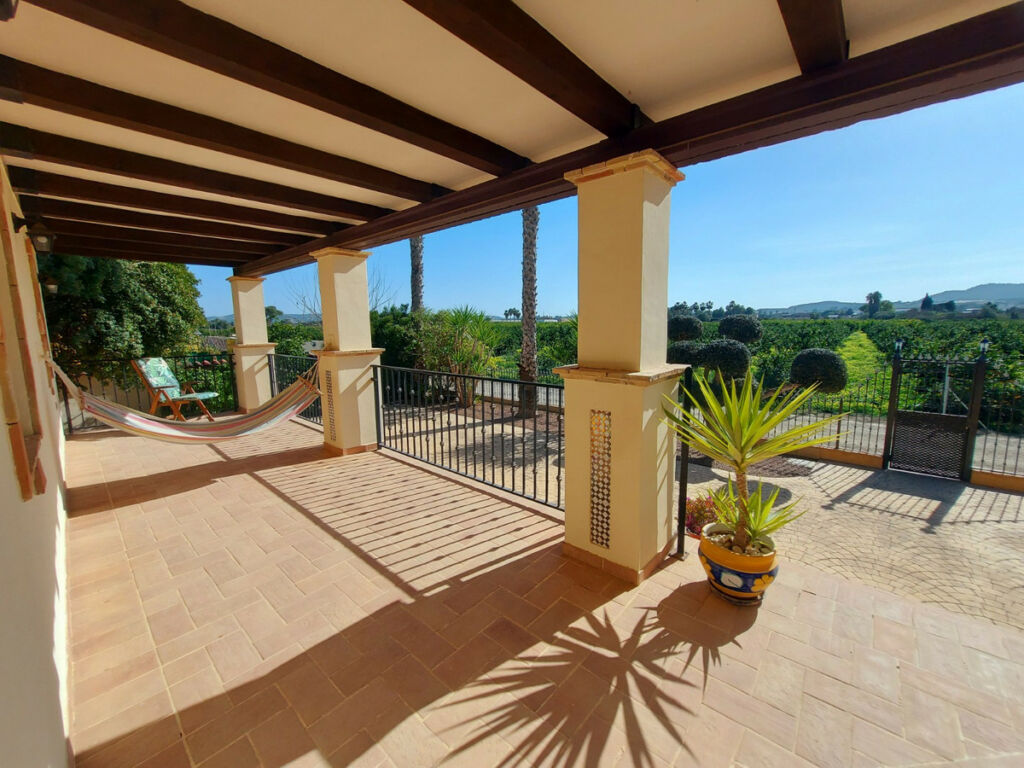 Finca - Cortijo Bigastro Alicante - image 6