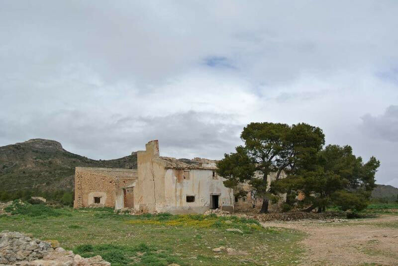 Land Yecla Murcia - image 7