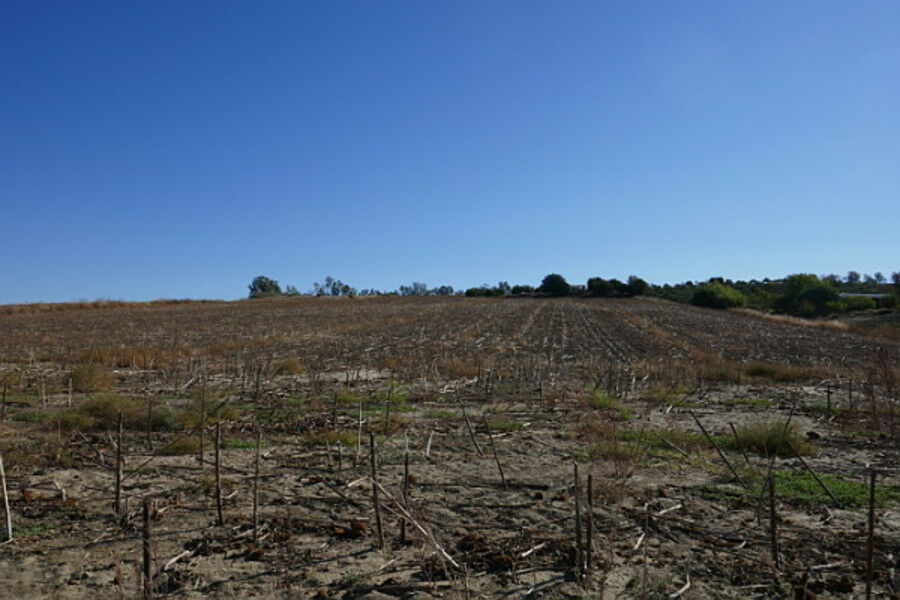 Land Arcos de la Frontera Cádiz - image 7