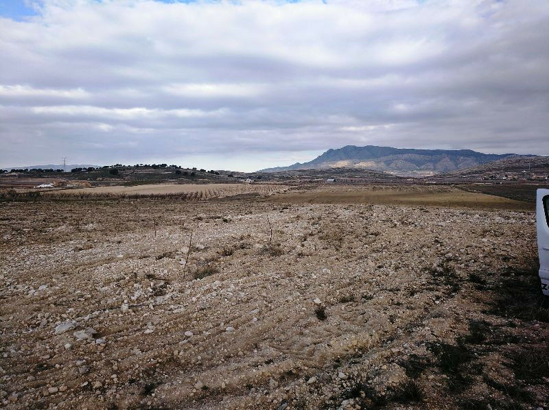 Land Torre Del Rico Murcia - image 7