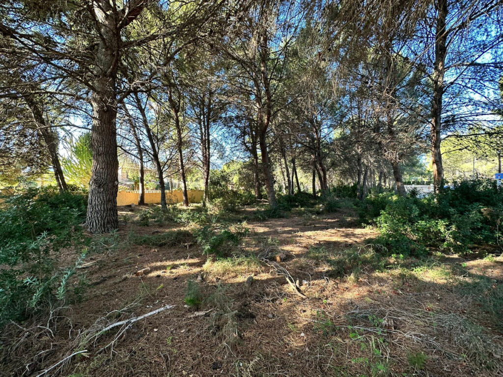 Land Calpe Alicante - image 7