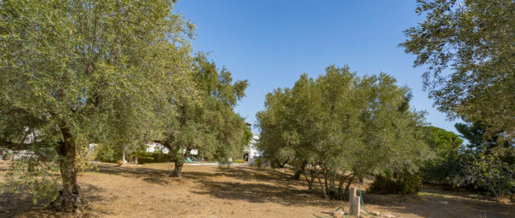 Detached Villa Torremolinos Málaga - image 7