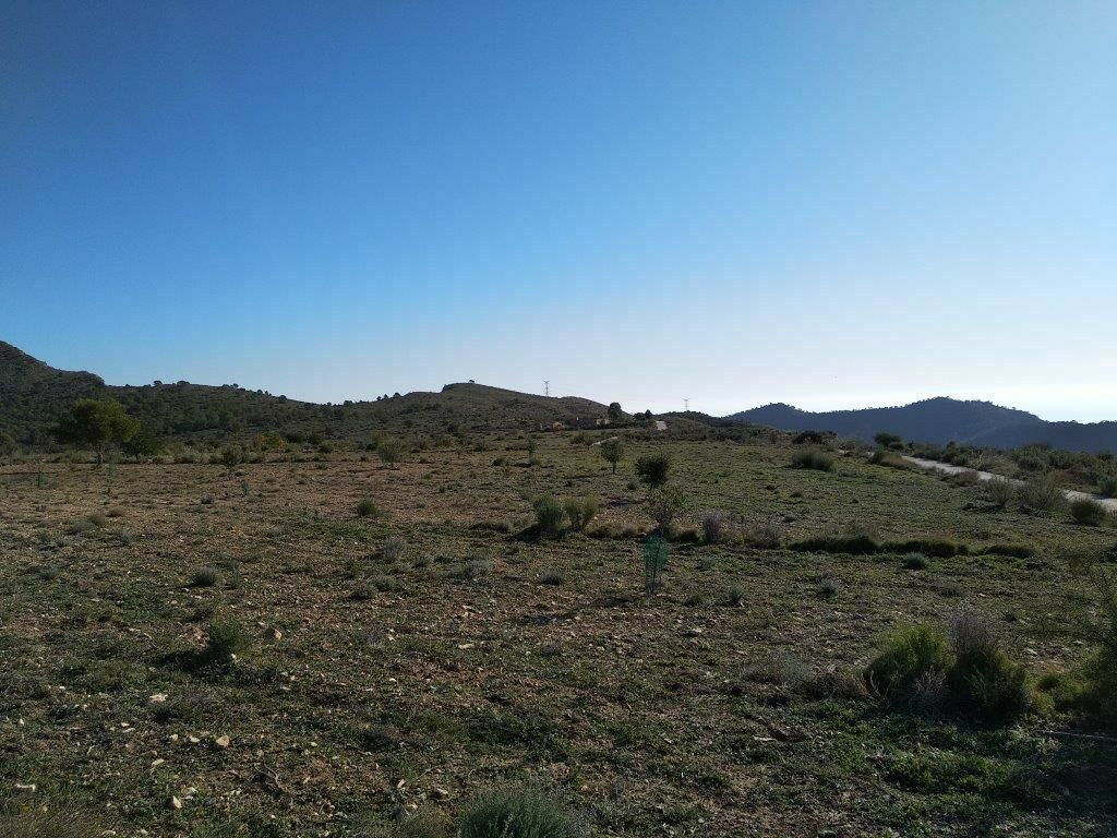 Residential Plot Relleu Alicante - image 7