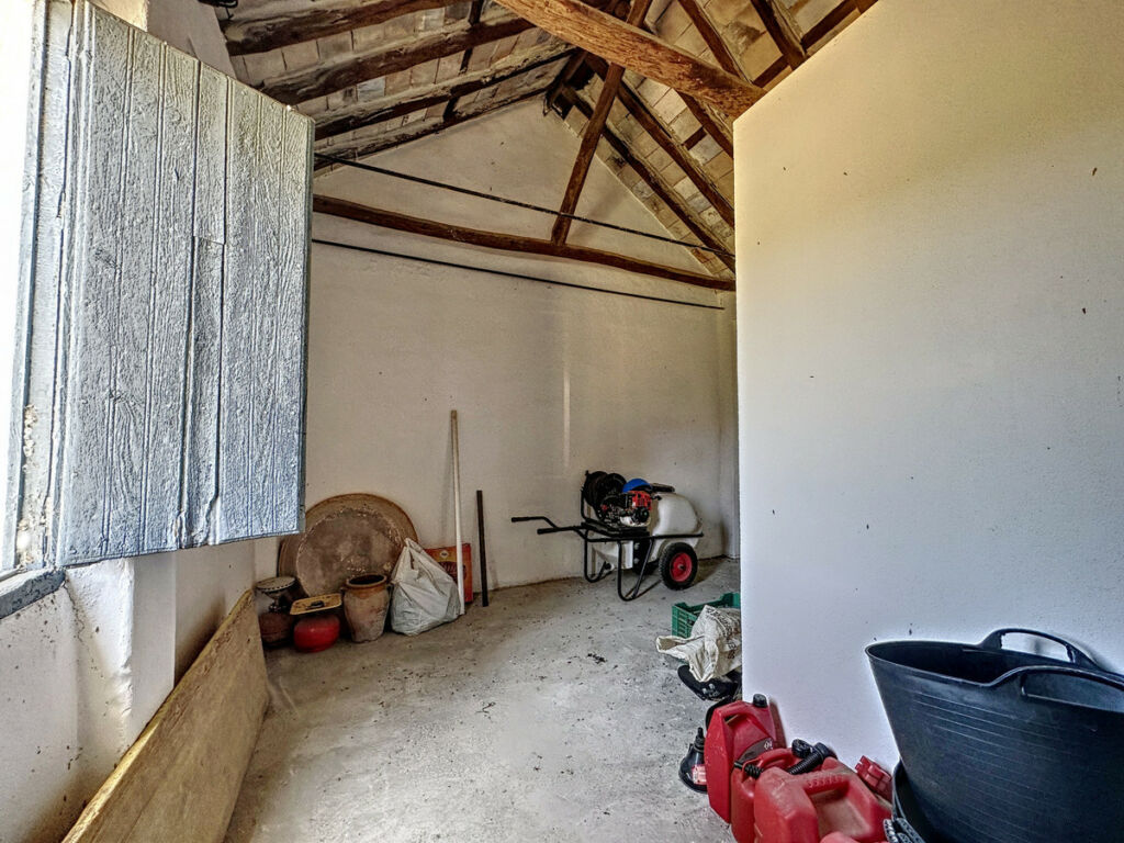Farm Doña Julia Málaga - image 7
