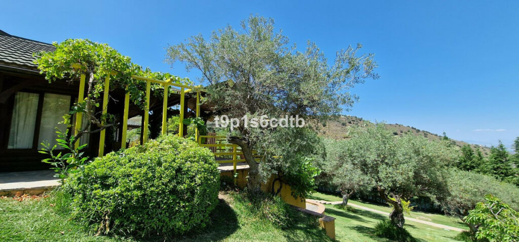 Detached Villa Monda Málaga - image 74