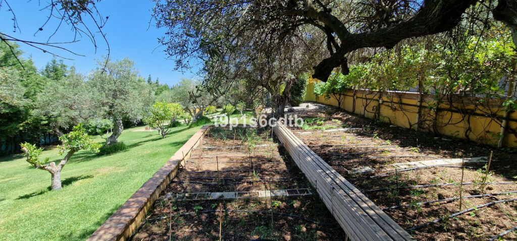 Detached Villa Monda Málaga - image 76