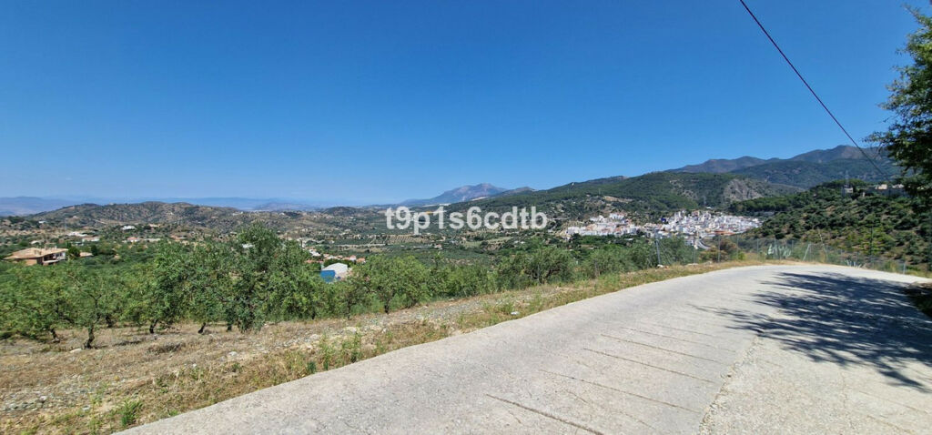 Detached Villa Monda Málaga - image 78