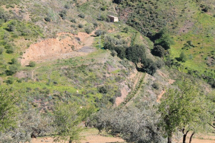 Land El Borge Málaga - image 8