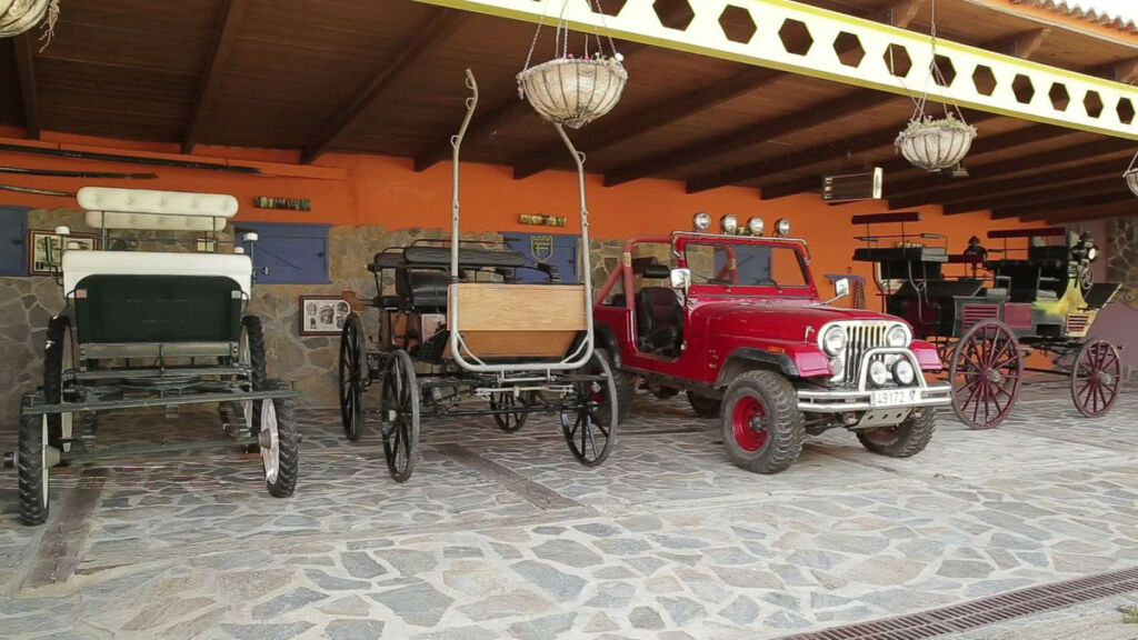 Hotel Coín Málaga - image 8