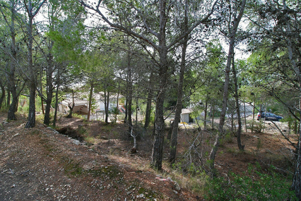 Land Altea Alicante - image 8