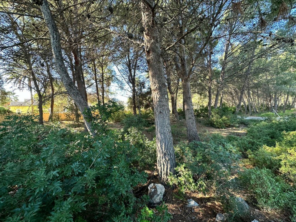 Land Calpe Alicante - image 8
