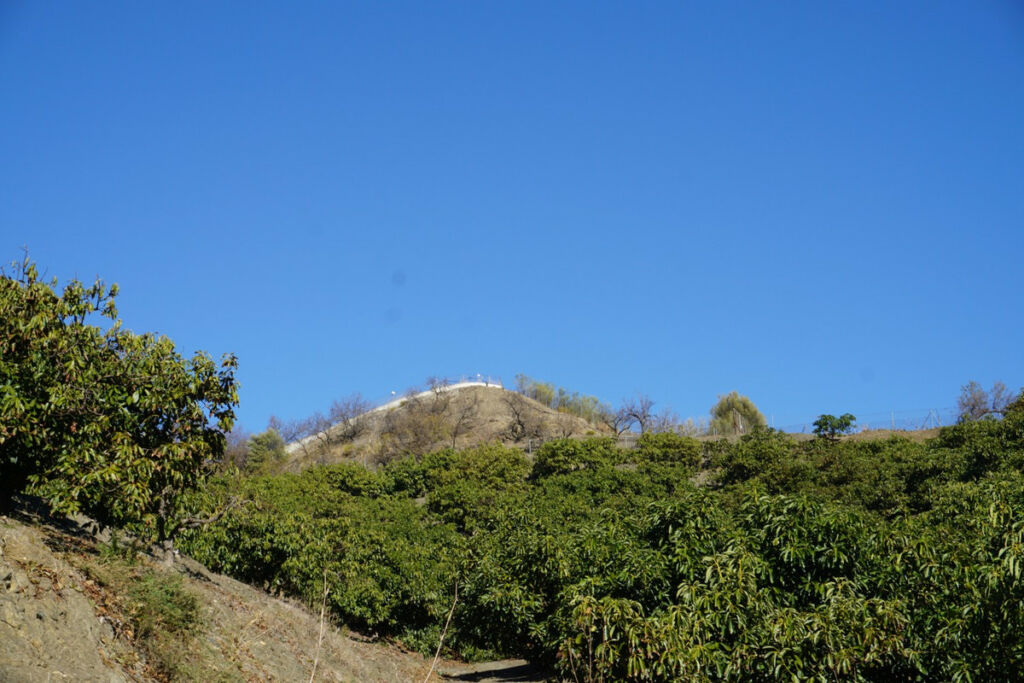 Finca - Cortijo La Viñuela Málaga - image 8