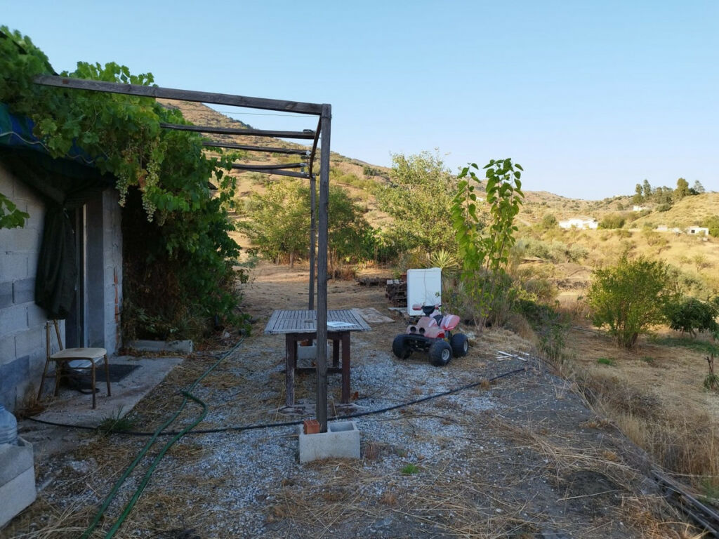 Finca - Cortijo Canillas de Aceituno Málaga - image 8