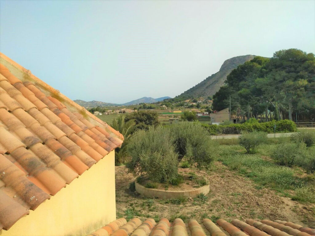 Detached Villa Aspe Alicante - image 8