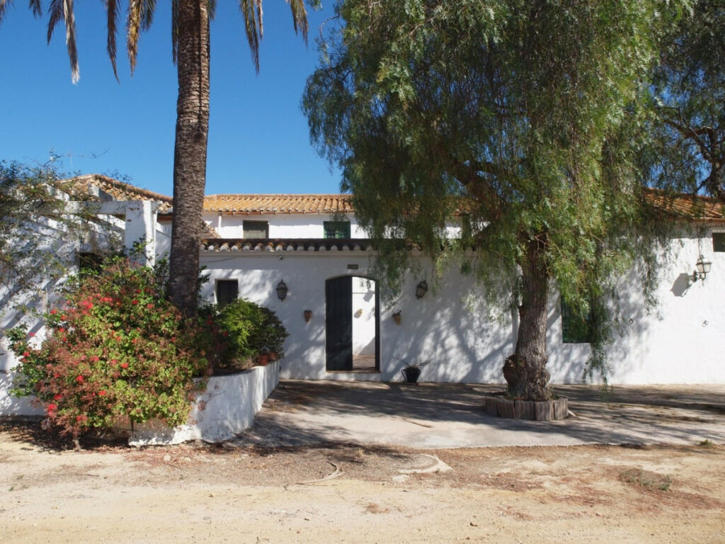 Finca - Cortijo Almayate Málaga - image 8