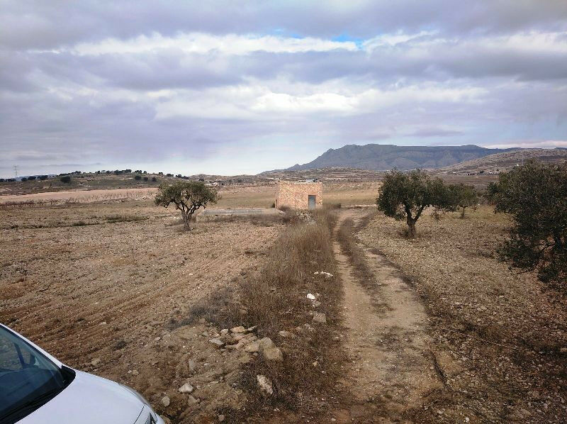 Land Torre Del Rico Murcia - image 8