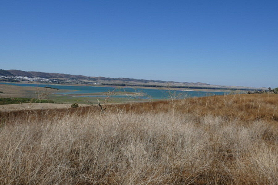 Land Arcos de la Frontera Cádiz - image 8