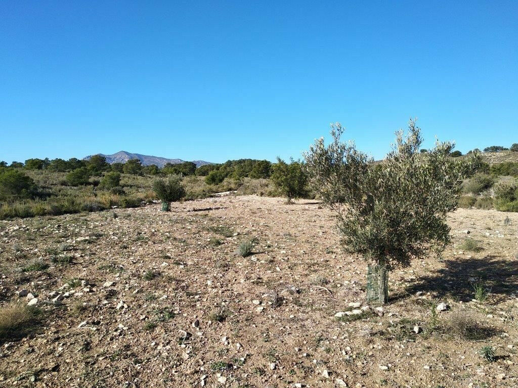 Residential Plot Relleu Alicante - image 8