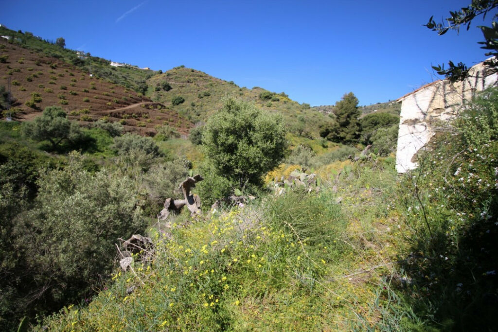 Land Torrox Málaga - image 8