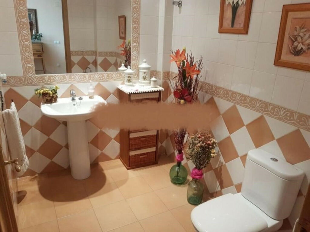 Detached Villa Petrer Alicante - image 9