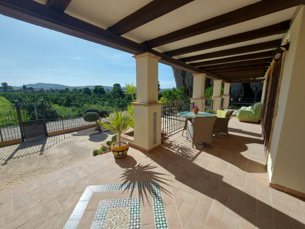 Finca - Cortijo Bigastro Alicante - image 8