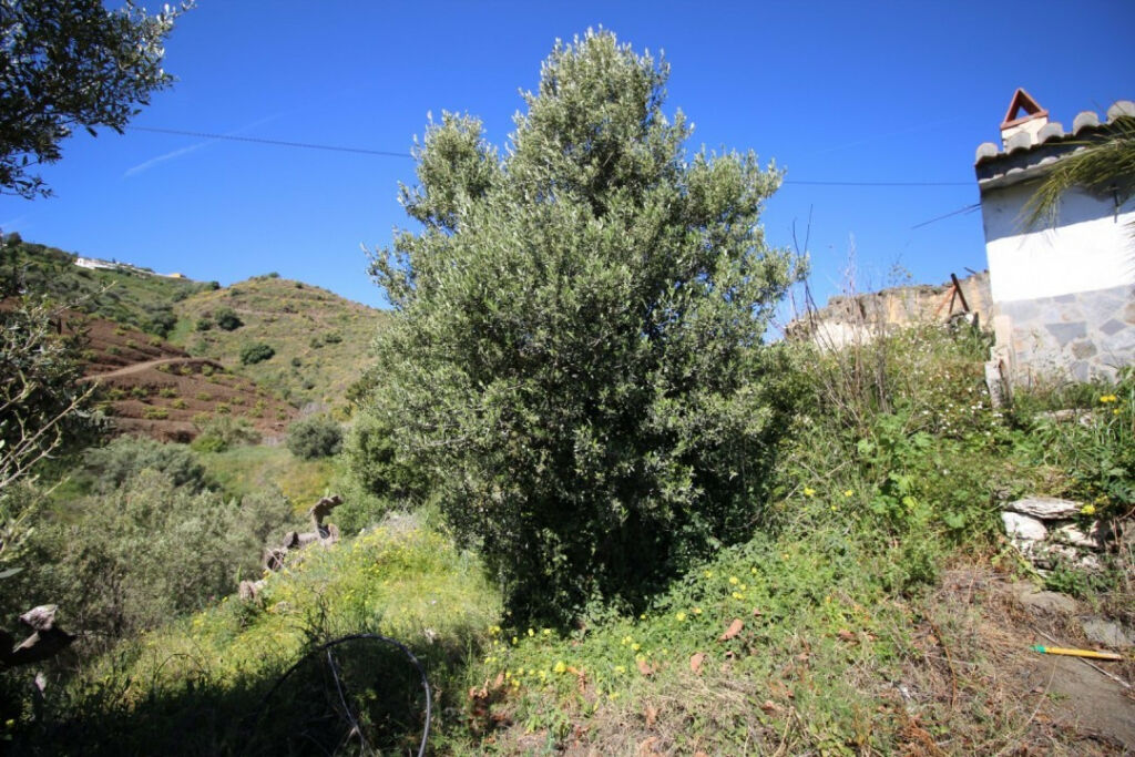 Land Torrox Málaga - image 9
