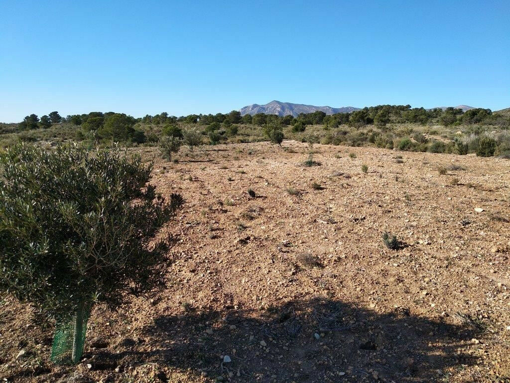 Residential Plot Relleu Alicante - image 9