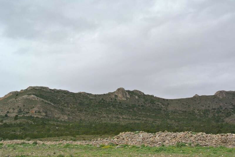 Land Yecla Murcia - image 9