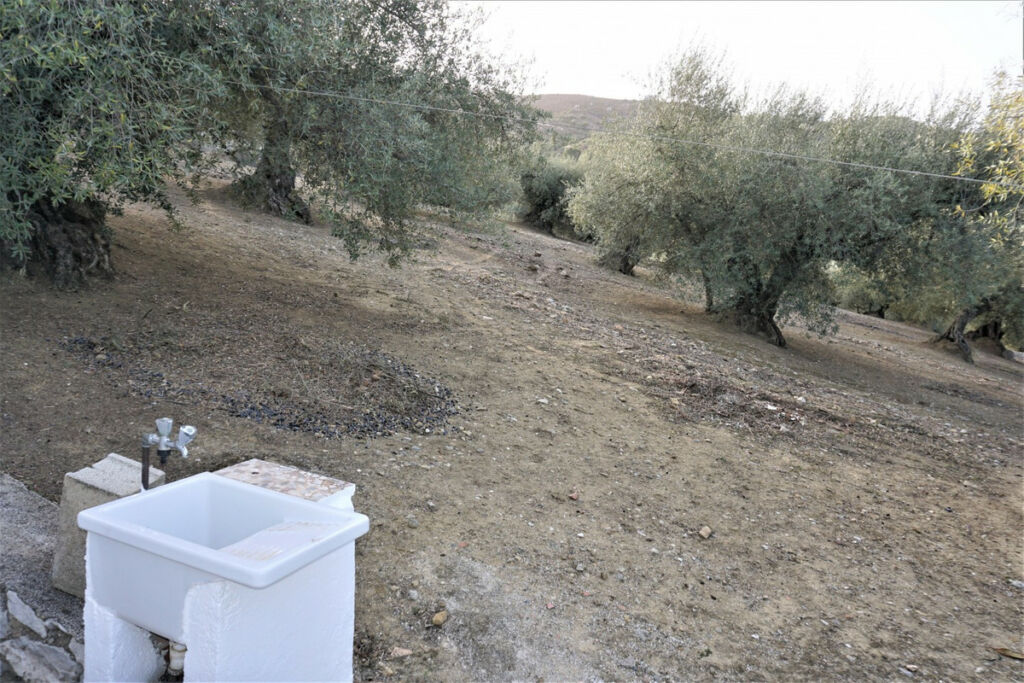 Finca - Cortijo Alcaucín Málaga - image 9