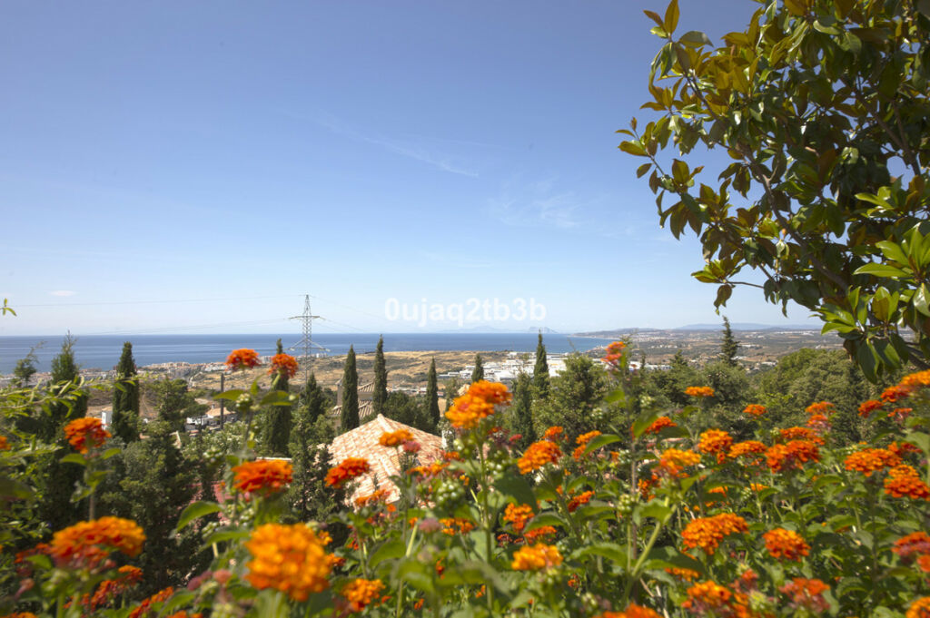 Detached Villa Estepona Málaga